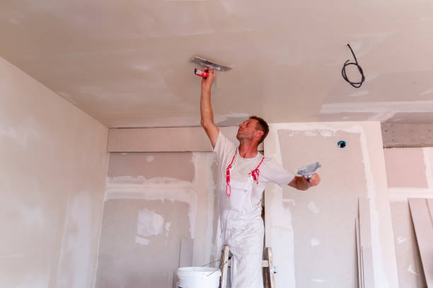 Best Fire-Damaged Drywall Repair  in Millington, NJ