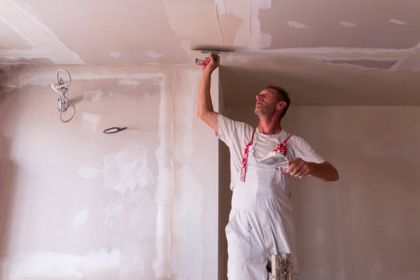 Best Drywall Installation  in Millington, NJ